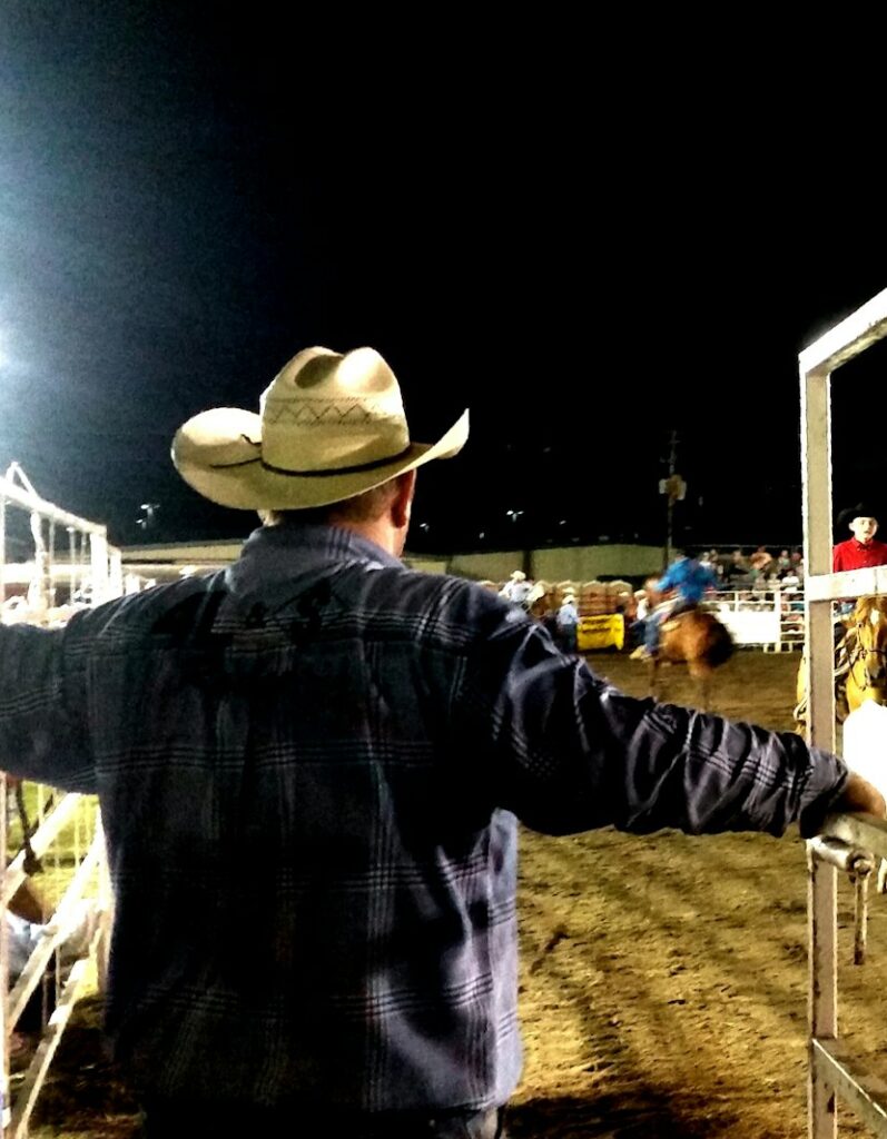 People from behind working the rodeo calf roping corral at nighttime with outdoor lighting at rodeo.